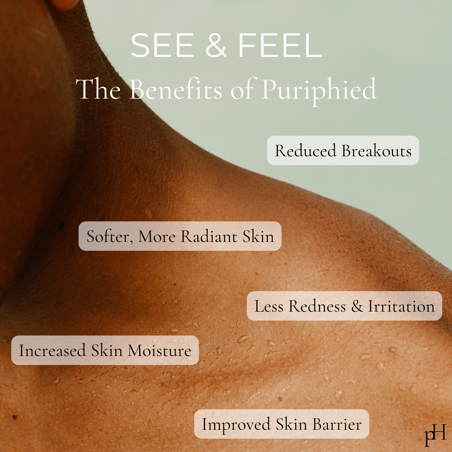 Puriphied Filtered Showerhead - Advanced Filtration Series